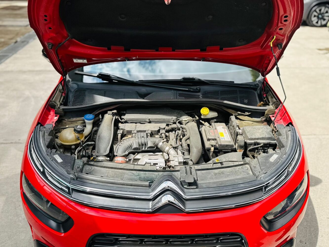 CITROEN C4 CACTUS SHINE TP 1.6CC 2020**: imagen 13